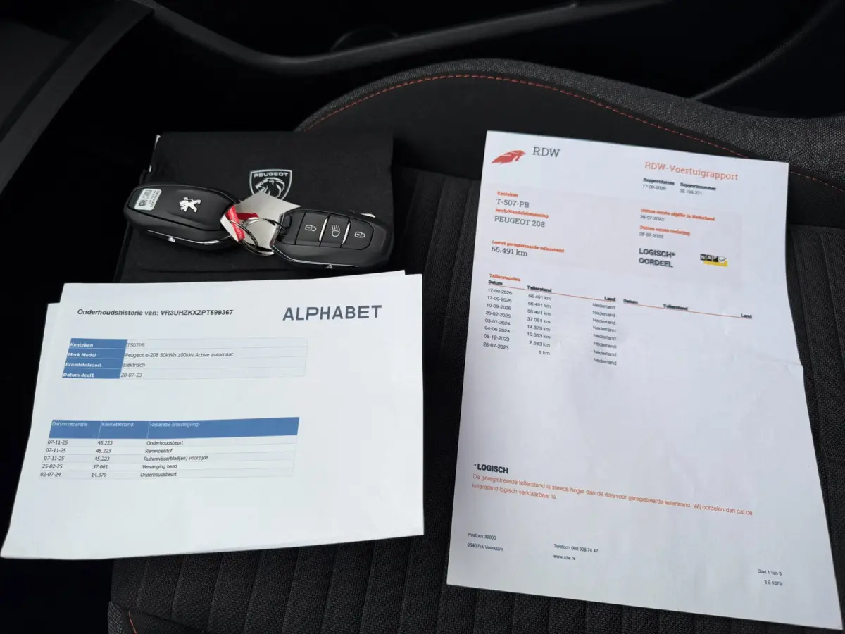 EV Active Pack 50 kWh SOH 96% 1 ste eigenaar