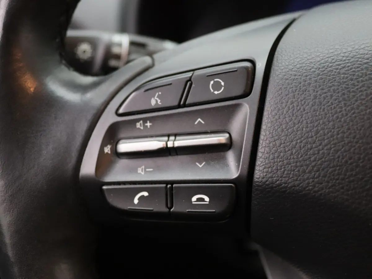 EV Limited 64 kWh Apple Carplay/Android Auto | Climate
