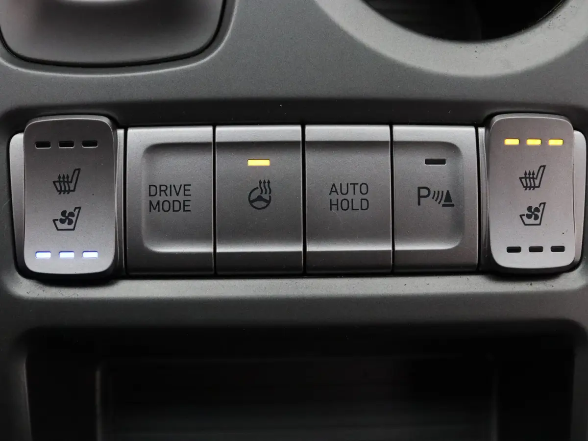 EV Limited 64 kWh Apple Carplay/Android Auto | Climate
