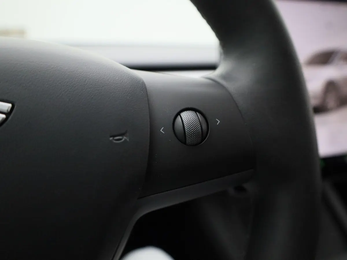 Long Range AWD 75 kWh | PANO | CAMERA | ACC | LEDER | ELEKTR. STOELVERSTELLING | STOELVERWARMING |