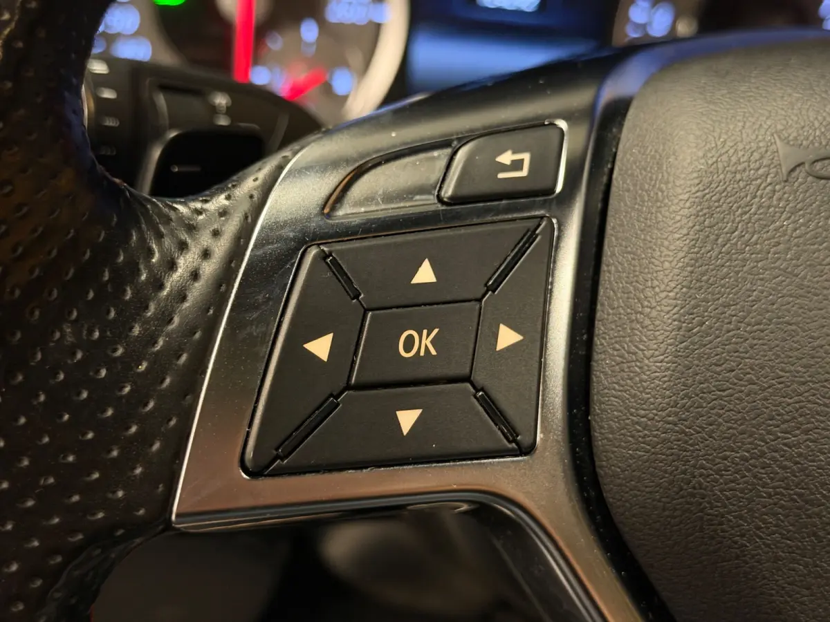 180 AMG Automaat Panoramadak Xenon