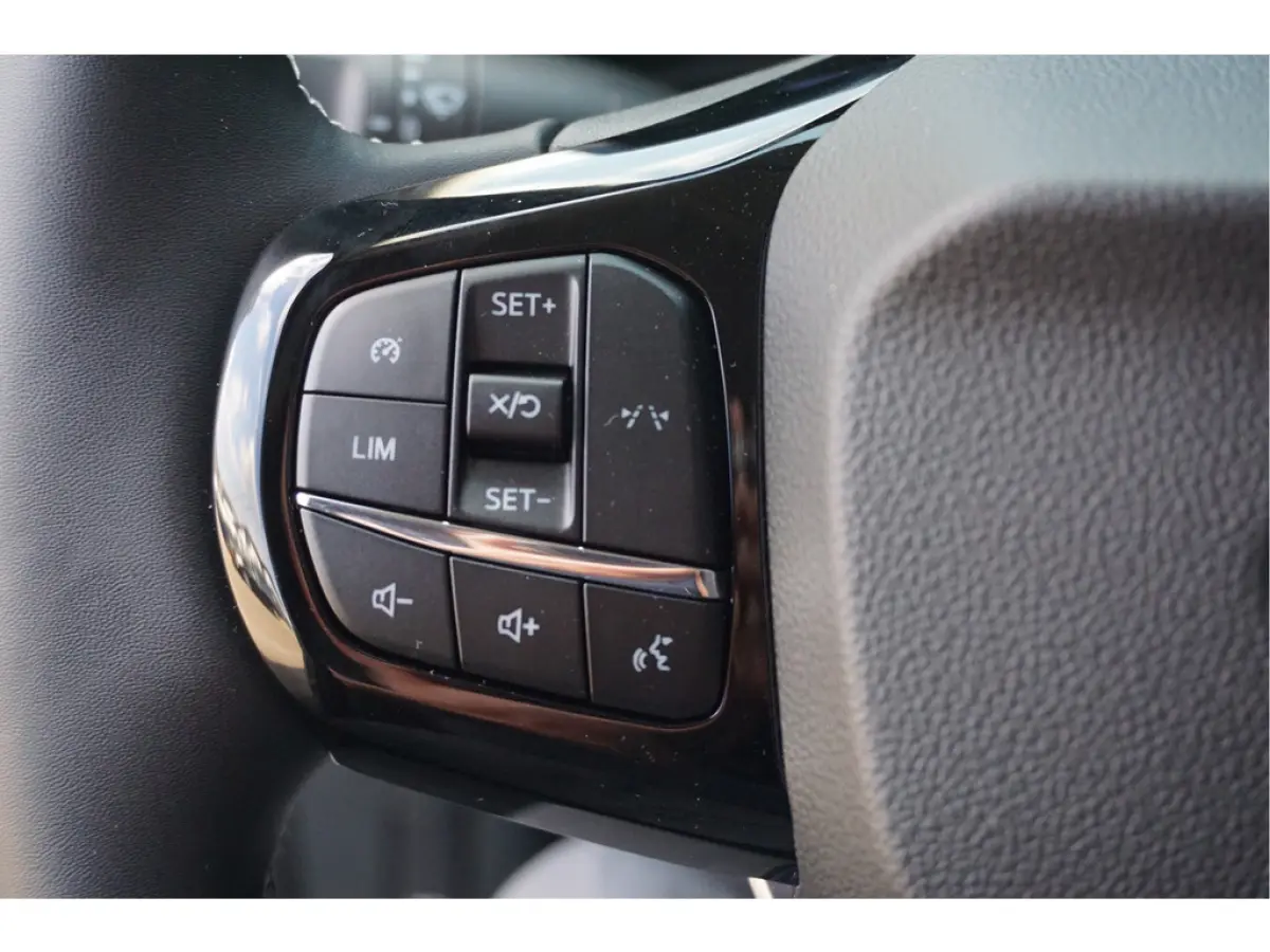 Limited 44 kWh 136PK Automaat nr. V008 | Airco | Cruise | Apple CP-Android | Trekhaak