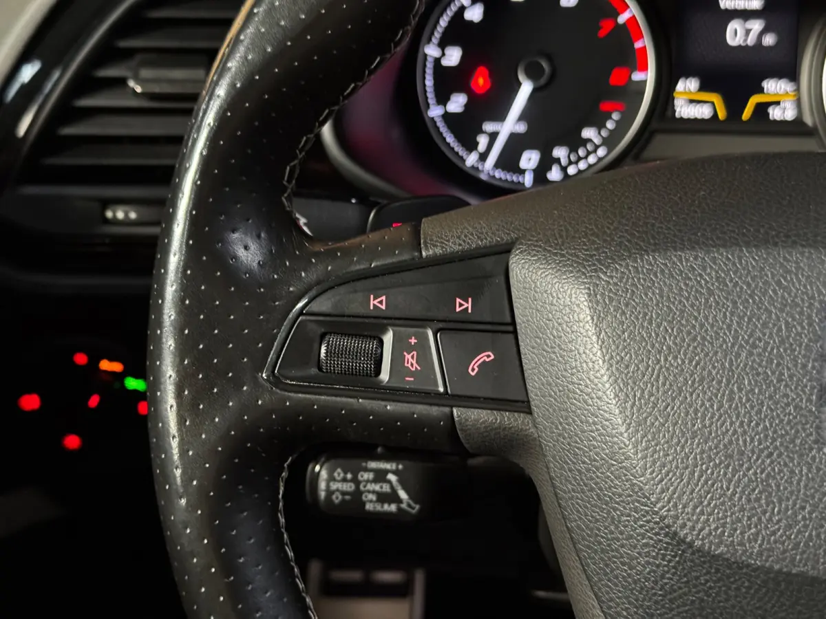 2.0 TSI Cupra 290 Pano Seat Sound Brembo Kuipstoel Carplay VOL