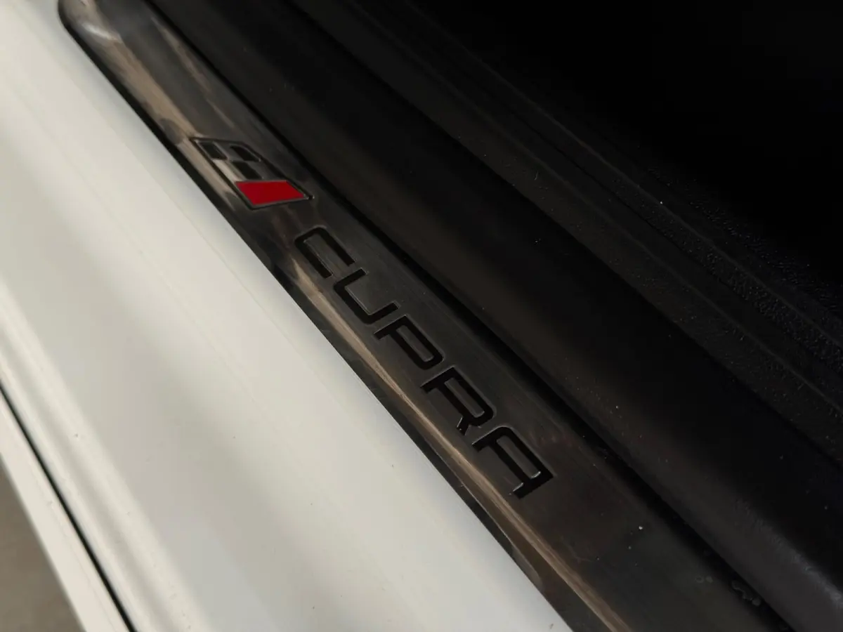 2.0 TSI Cupra 290 Pano Seat Sound Brembo Kuipstoel Carplay VOL