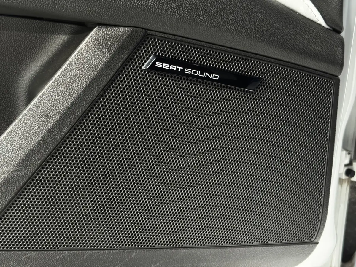 2.0 TSI Cupra 290 Pano Seat Sound Brembo Kuipstoel Carplay VOL