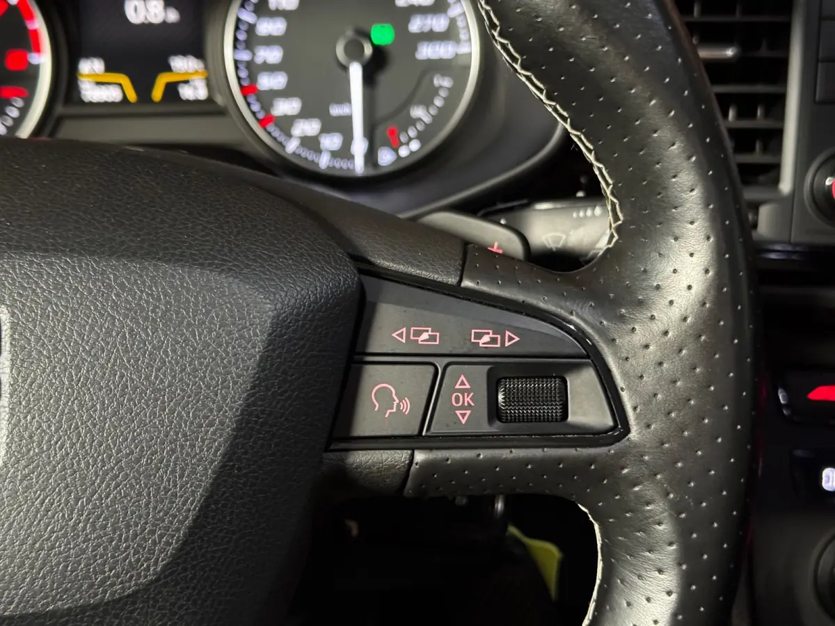 2.0 TSI Cupra 290 Pano Seat Sound Brembo Kuipstoel Carplay VOL
