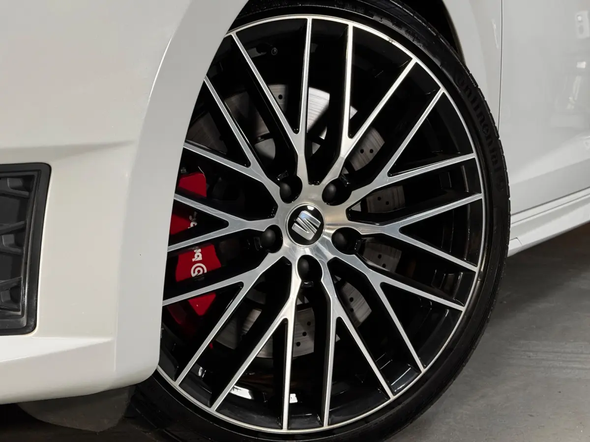 2.0 TSI Cupra 290 Pano Seat Sound Brembo Kuipstoel Carplay VOL