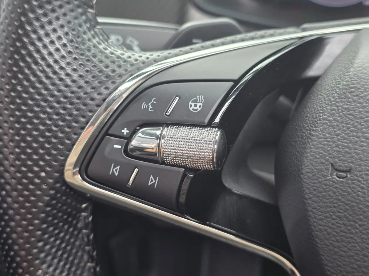 1.5 TSI Sportline Business 7P | FULL OPTION | LEDER | PANO | TREKHAAK |