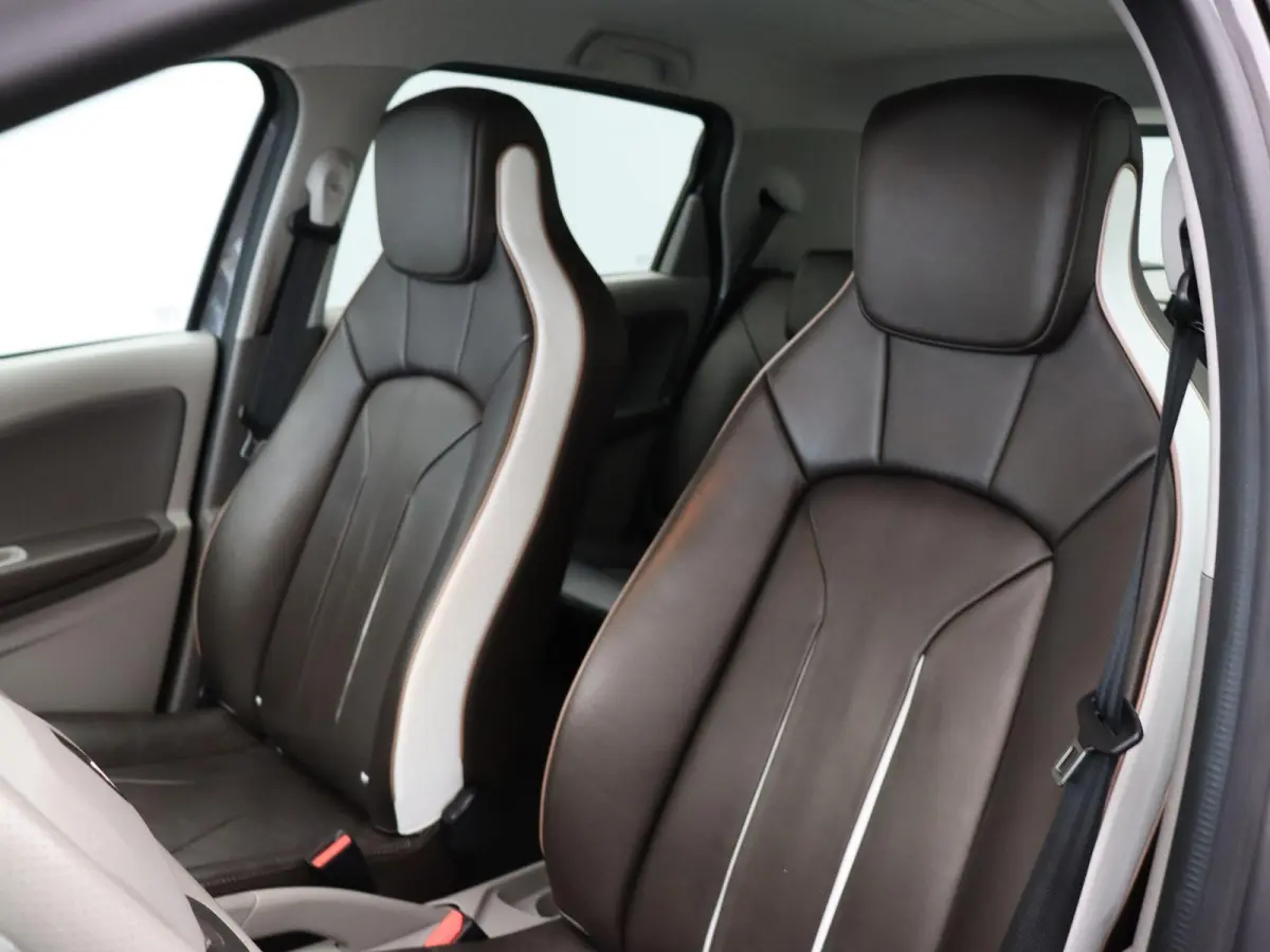 R110 Bose 41 kWh | Batterijkoop | 1e Eigenaar | Dealeronderhouden | Trekhaak | Bose geluidsysteem | Lederen interieur |