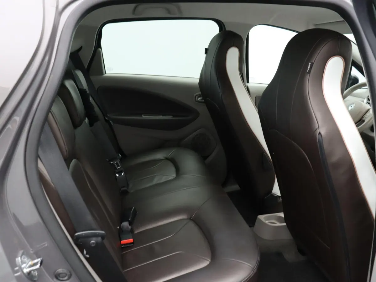 R110 Bose 41 kWh | Batterijkoop | 1e Eigenaar | Dealeronderhouden | Trekhaak | Bose geluidsysteem | Lederen interieur |