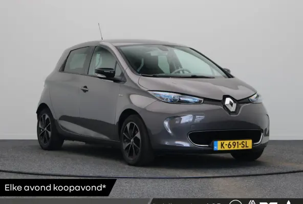 R110 Bose 41 kWh | Batterijkoop | 1e Eigenaar | Dealeronderhouden | Trekhaak | Bose geluidsysteem | Lederen interieur |
