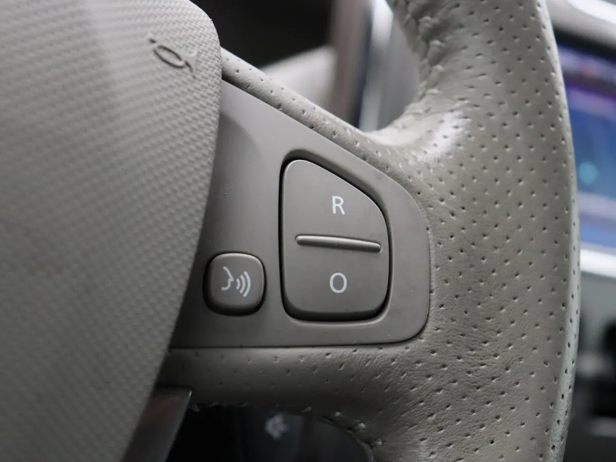 R110 Bose 41 kWh | Batterijkoop | 1e Eigenaar | Dealeronderhouden | Trekhaak | Bose geluidsysteem | Lederen interieur |