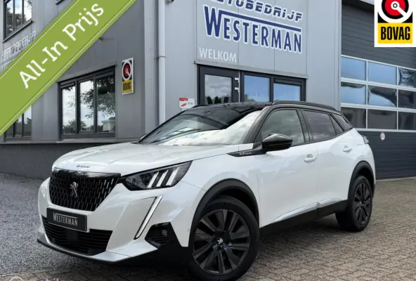 1.2 PureTech GT-Line AUT Cruise Clima Navi Trekh. Lmv etc.
