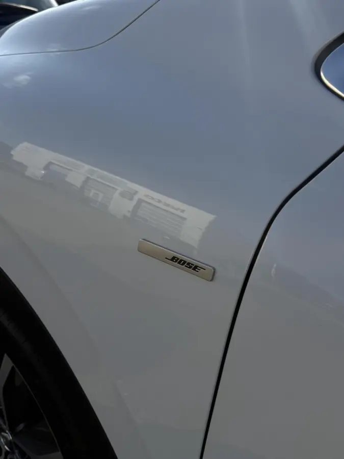1.2 TCe Bose 2017 Luxe Automaat Volledig ondh