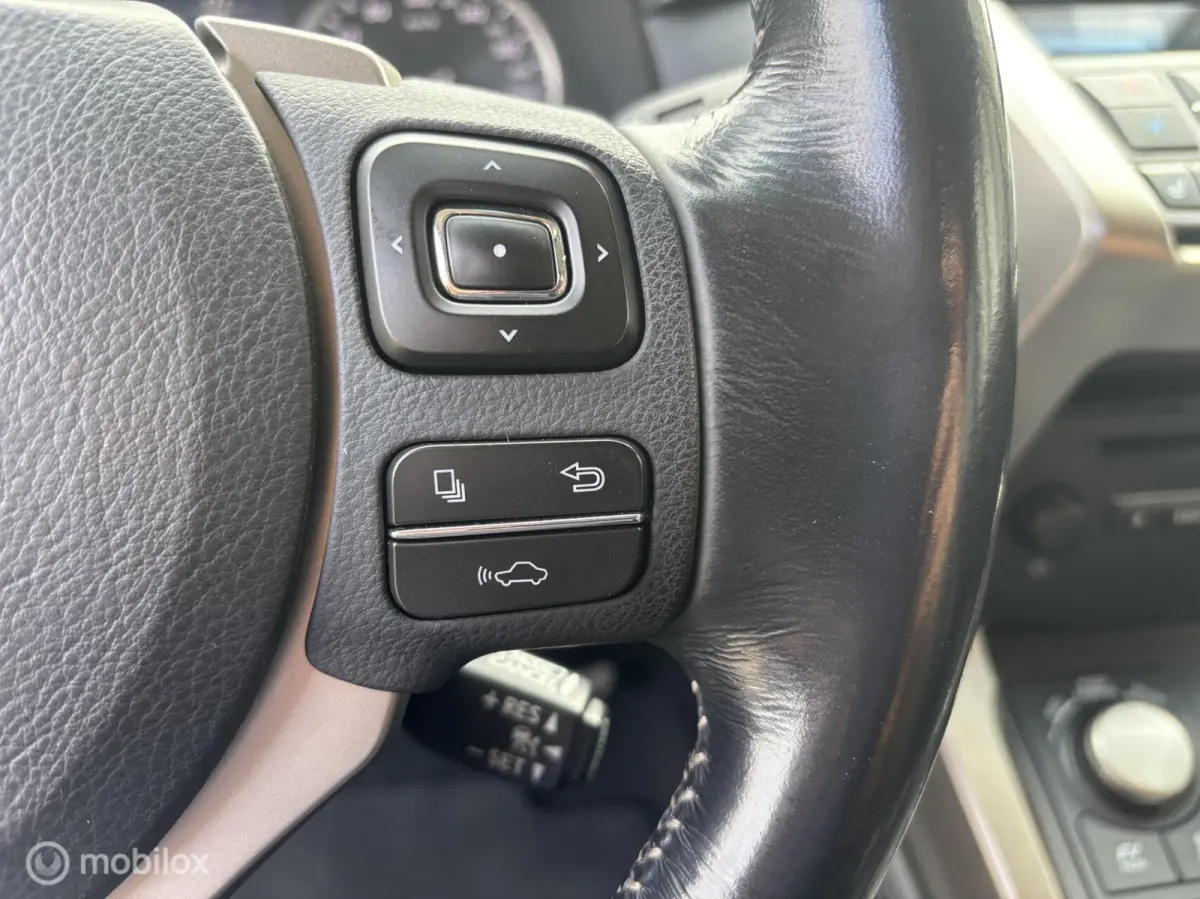 300h AWD 25th Edition