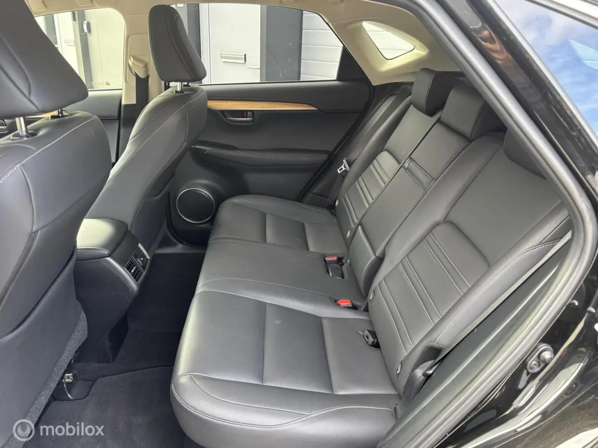 300h AWD 25th Edition