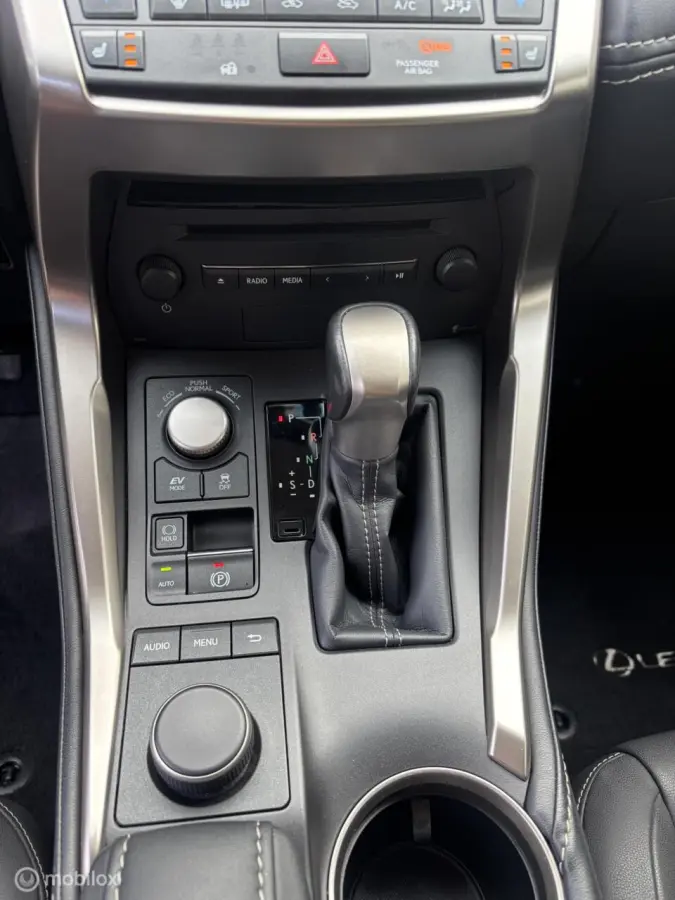 300h AWD 25th Edition