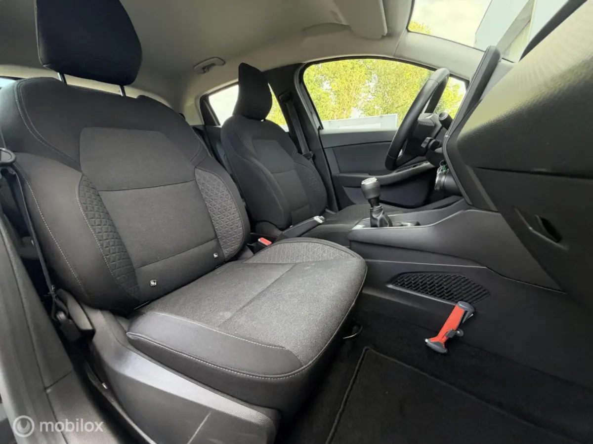 1.0 TCe 100pk Zen 2020 / Carplay / Cruisecontrol / DAB+ / Navigatie / Dealeronderhouden NAP