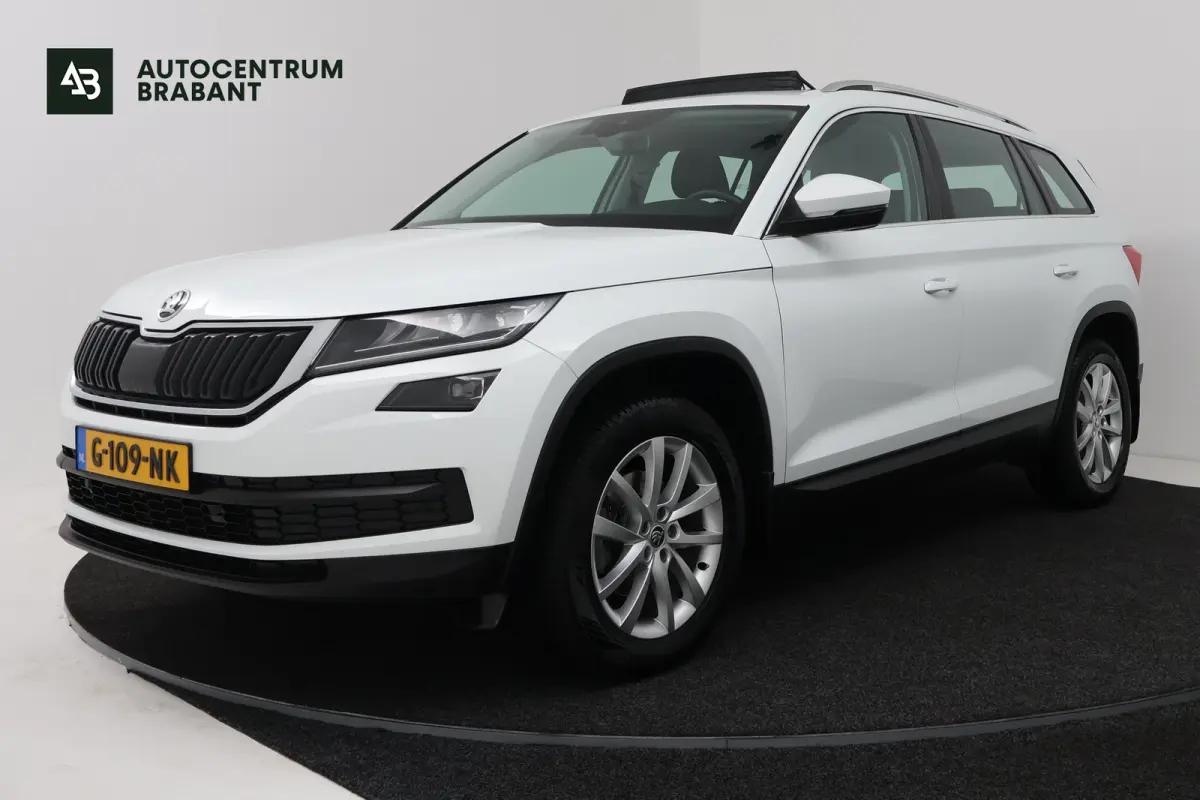 1.5 TSI Limited Business Edition (TREKHAAK AFNEEMBAAR, CANTON, STOELVERWARMING, CAMERA, CRUISE ADAPTIEF)