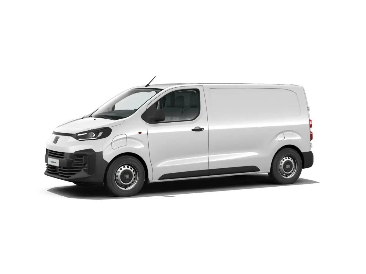 Professional Standaard | ABS met noodremassistentie / ESP en Hill Start Assist | Automatisch inschakelende verlichting en ruitenwissers | Cruise control met snelheidsbegrenzer (bediening ach