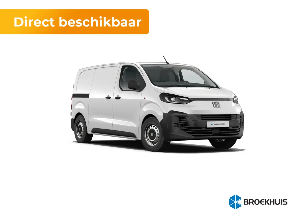 Professional Standaard | ABS met noodremassistentie / ESP en Hill Start Assist | Automatisch inschakelende verlichting en ruitenwissers | Cruise control met snelheidsbegrenzer (bediening ach