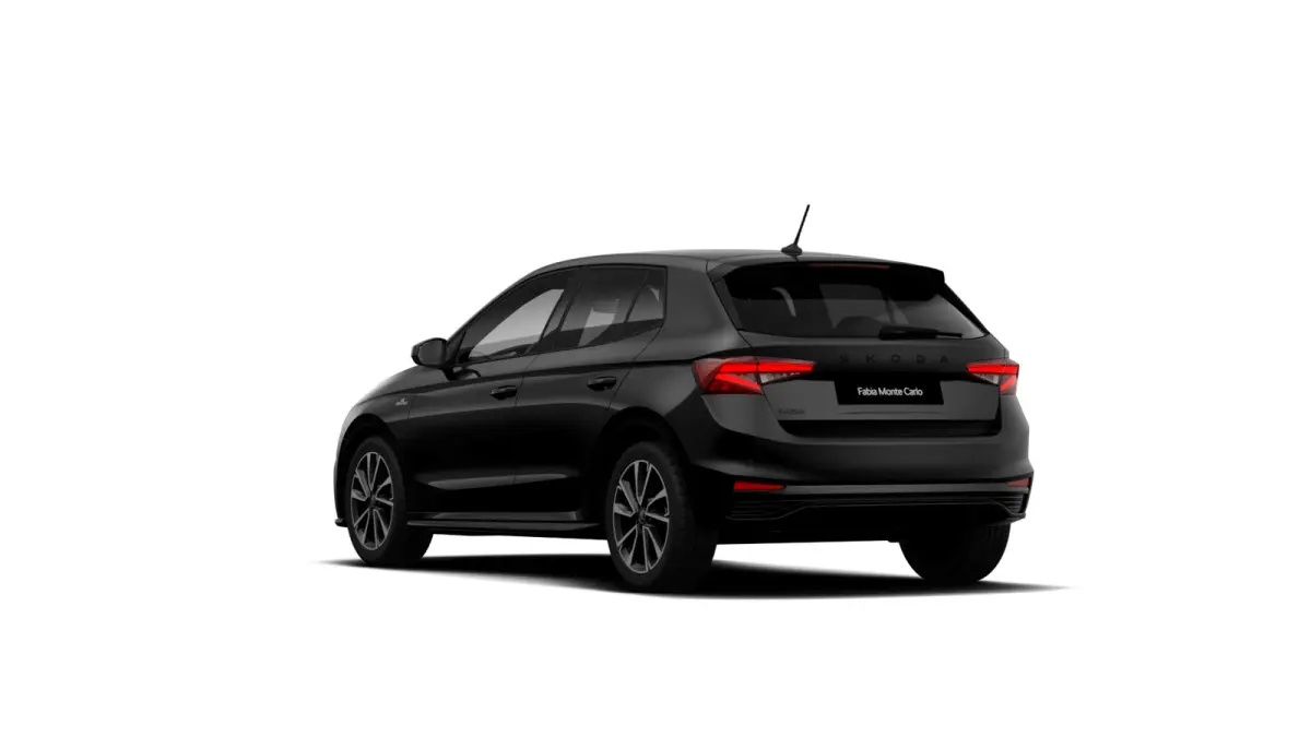 Monte Carlo | Achteruitrijcamera | Cruise control met speedlimiter | Driver Activity Assistant, vermoeidheid waarschuwingssysteem