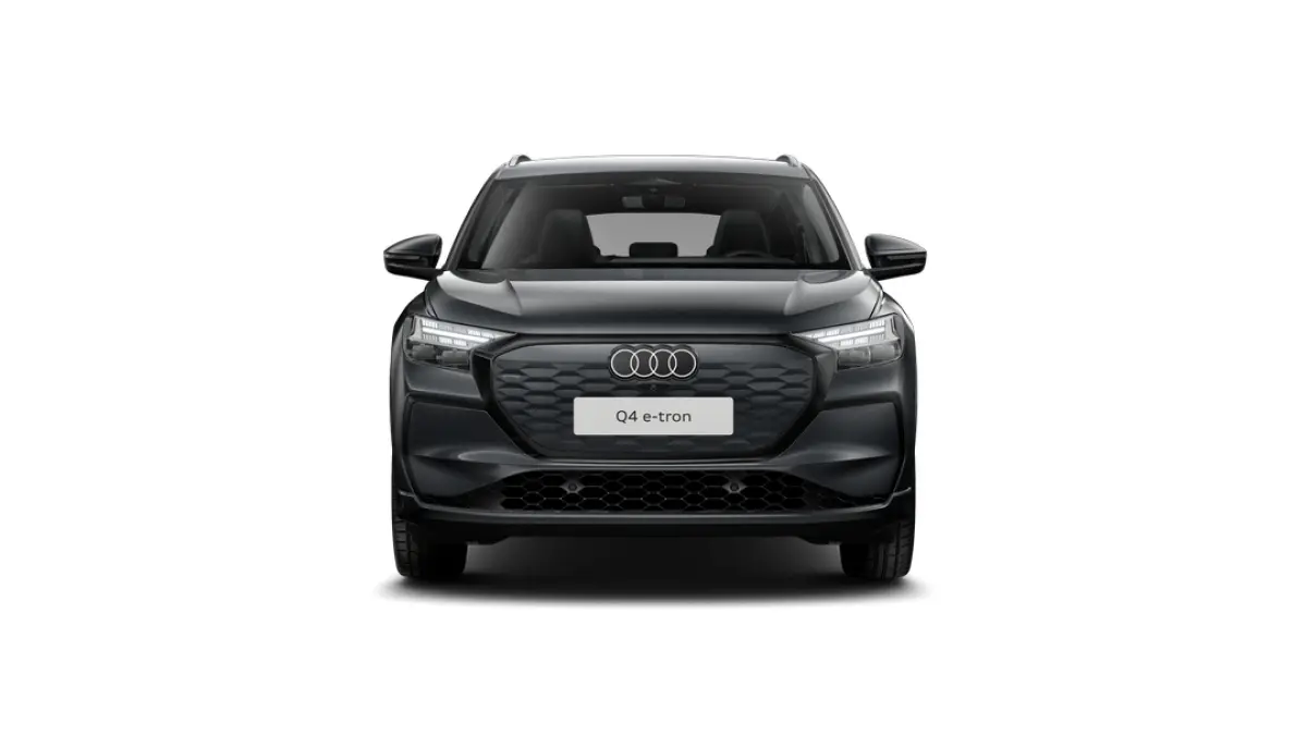 Edition | Achterklep, automatisch bedienbaar | Aluminium optiek in het interieur | Audi sound system