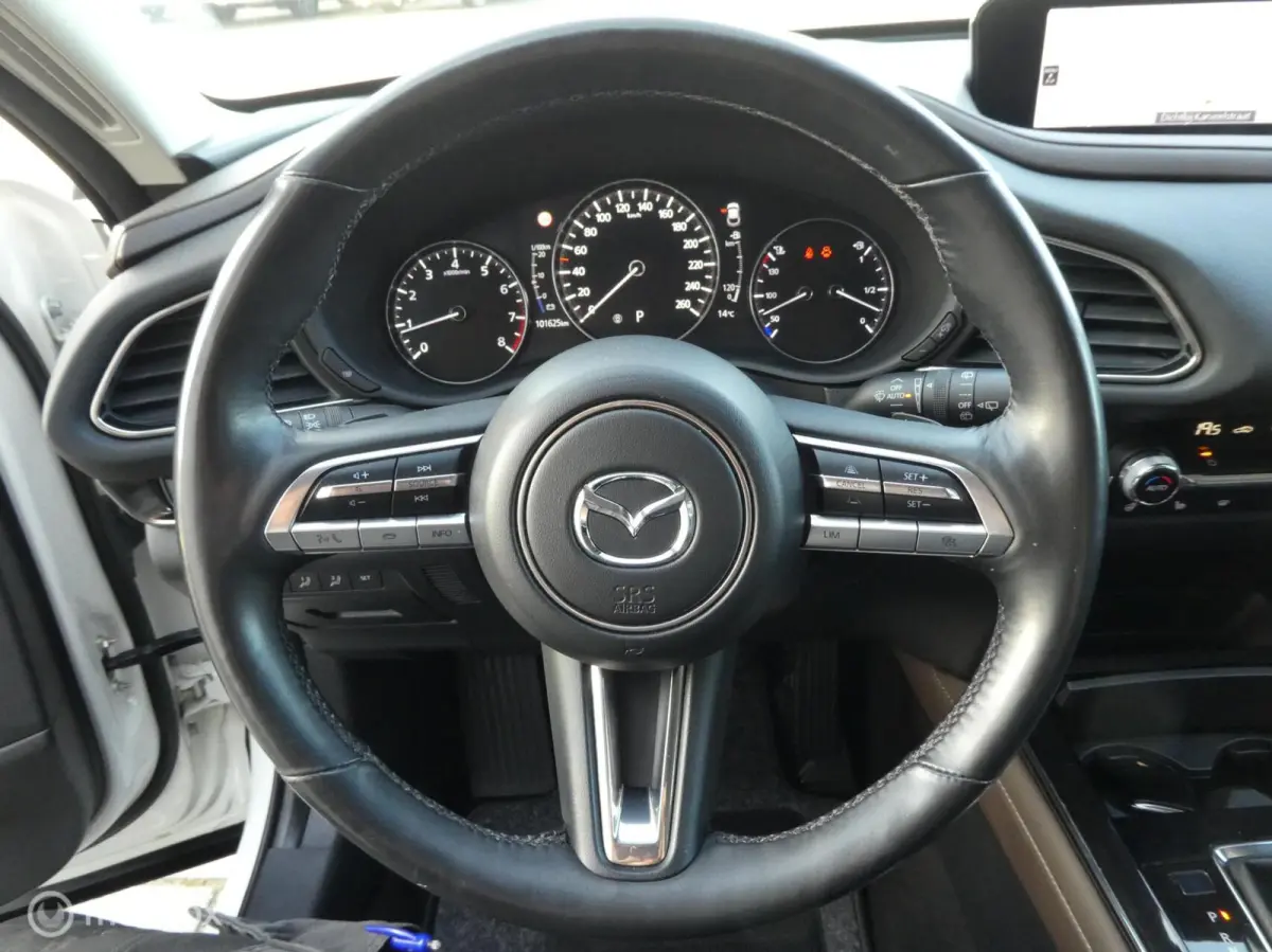 2.0 e-SkyActiv M Hybrid