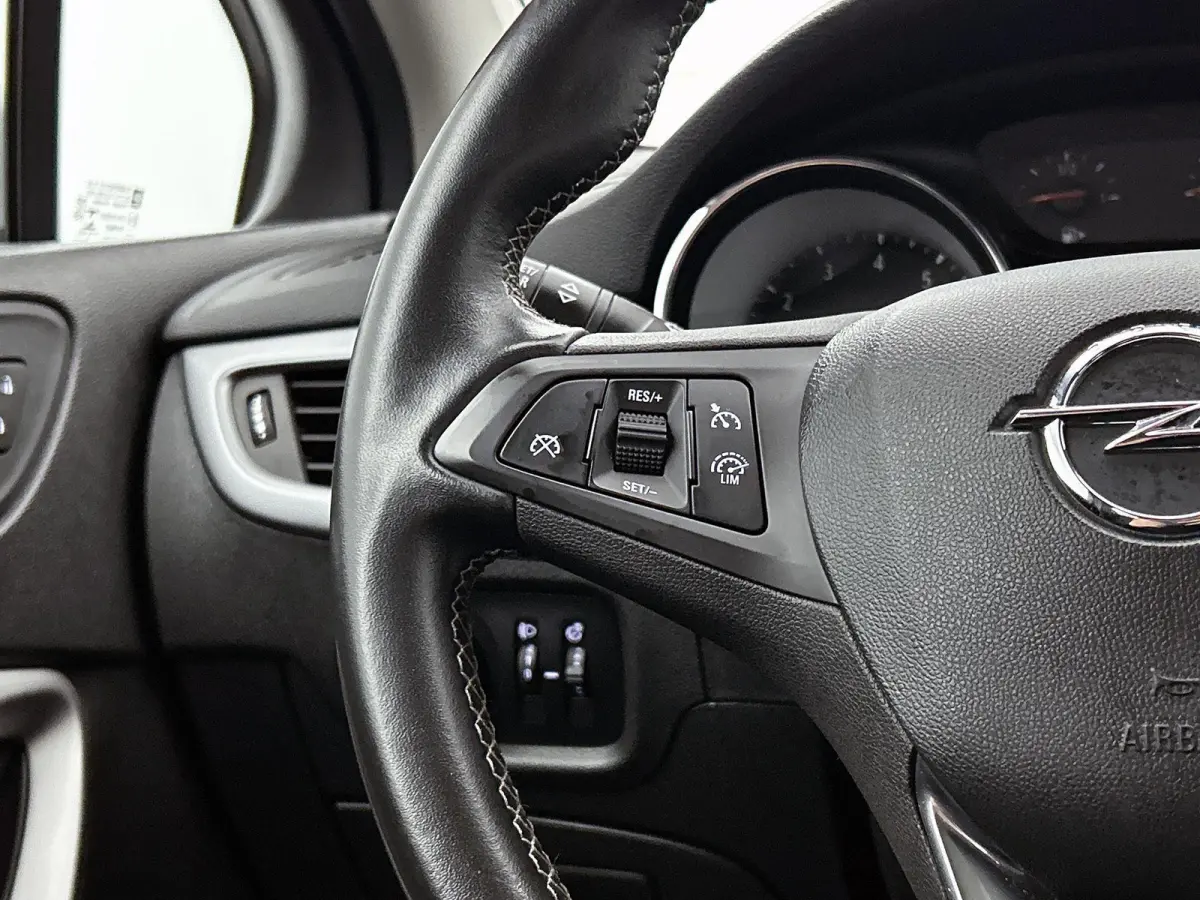 1.2 Business Edition | Cruise control | Achteruitrijcamera | Apple carplay / Android auto