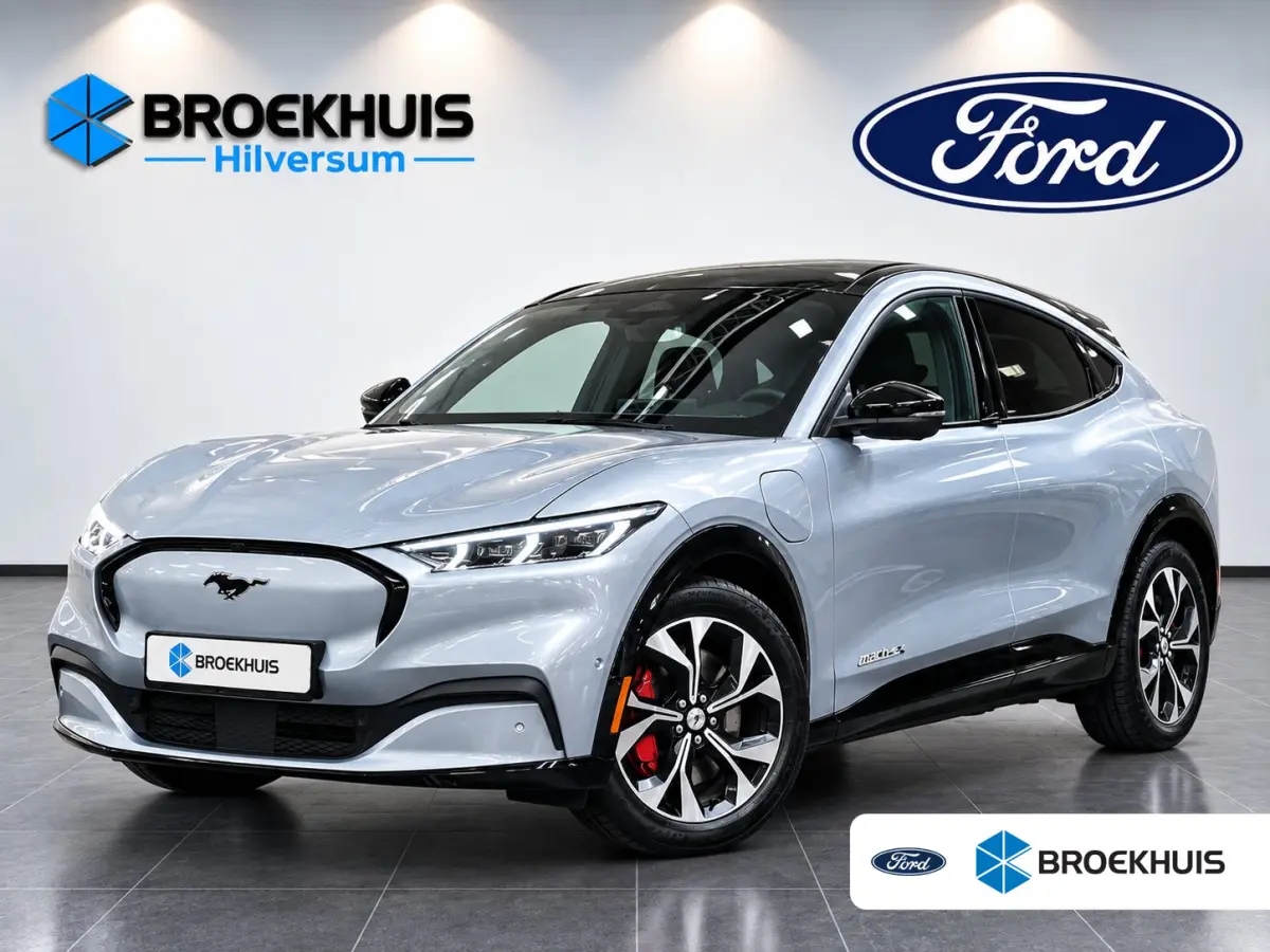 Extended Range AWD 98KWh 351pk | Afn. Trekhaak | Panoramadak | B&O Audio | Matrix Led | Full Options