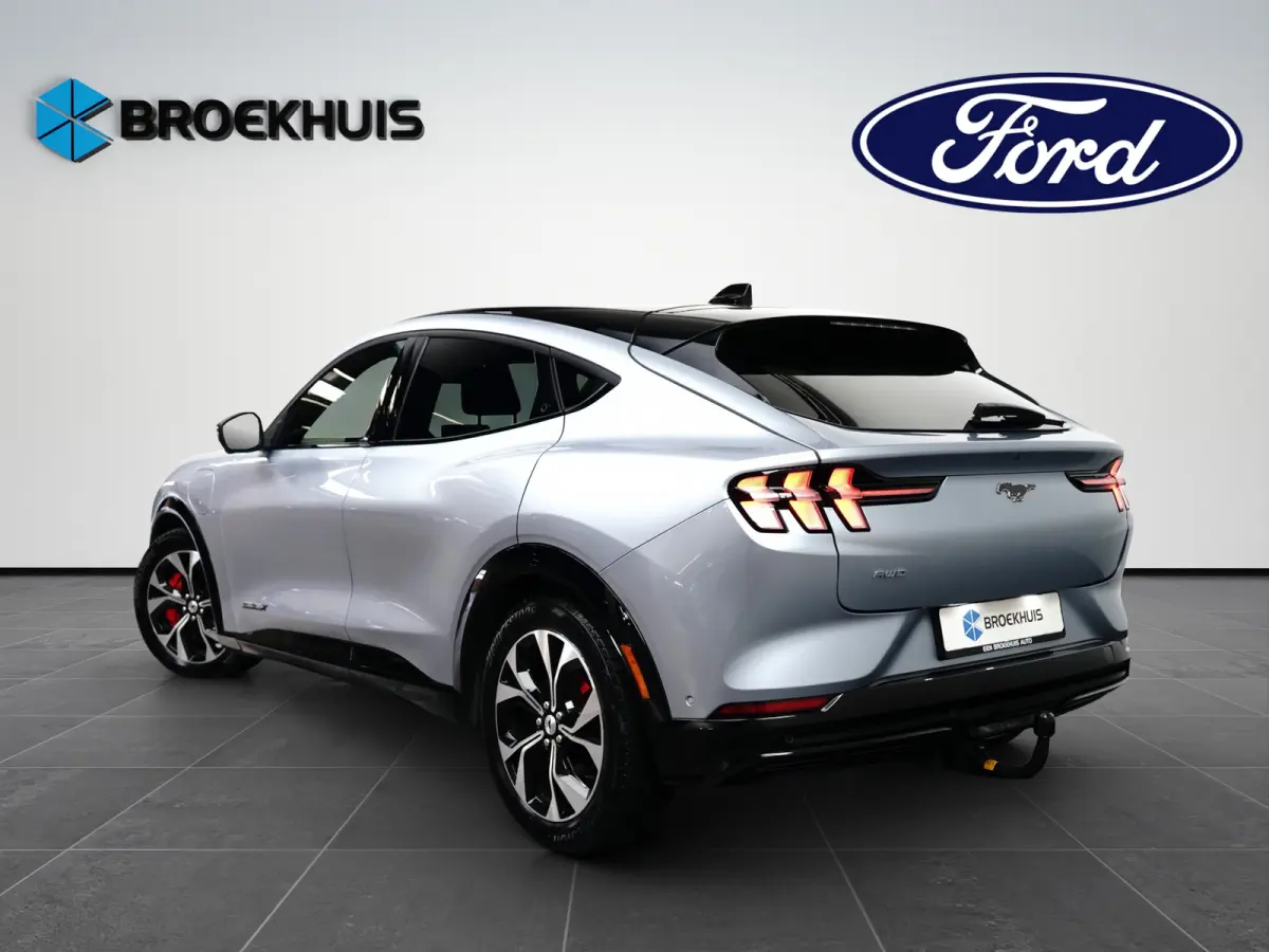 Extended Range AWD 98KWh 351pk | Afn. Trekhaak | Panoramadak | B&O Audio | Matrix Led | Full Options