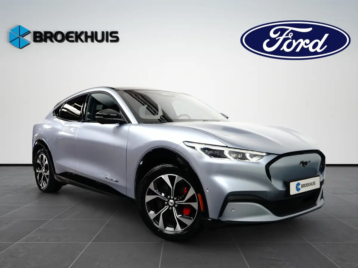 Extended Range AWD 98KWh 351pk | Afn. Trekhaak | Panoramadak | B&O Audio | Matrix Led | Full Options