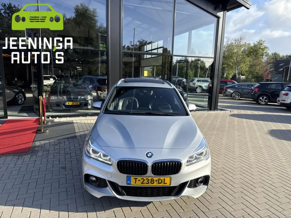 225xe iPerformance Centennial Executive |M-pakket|Pano|Leer|Camera