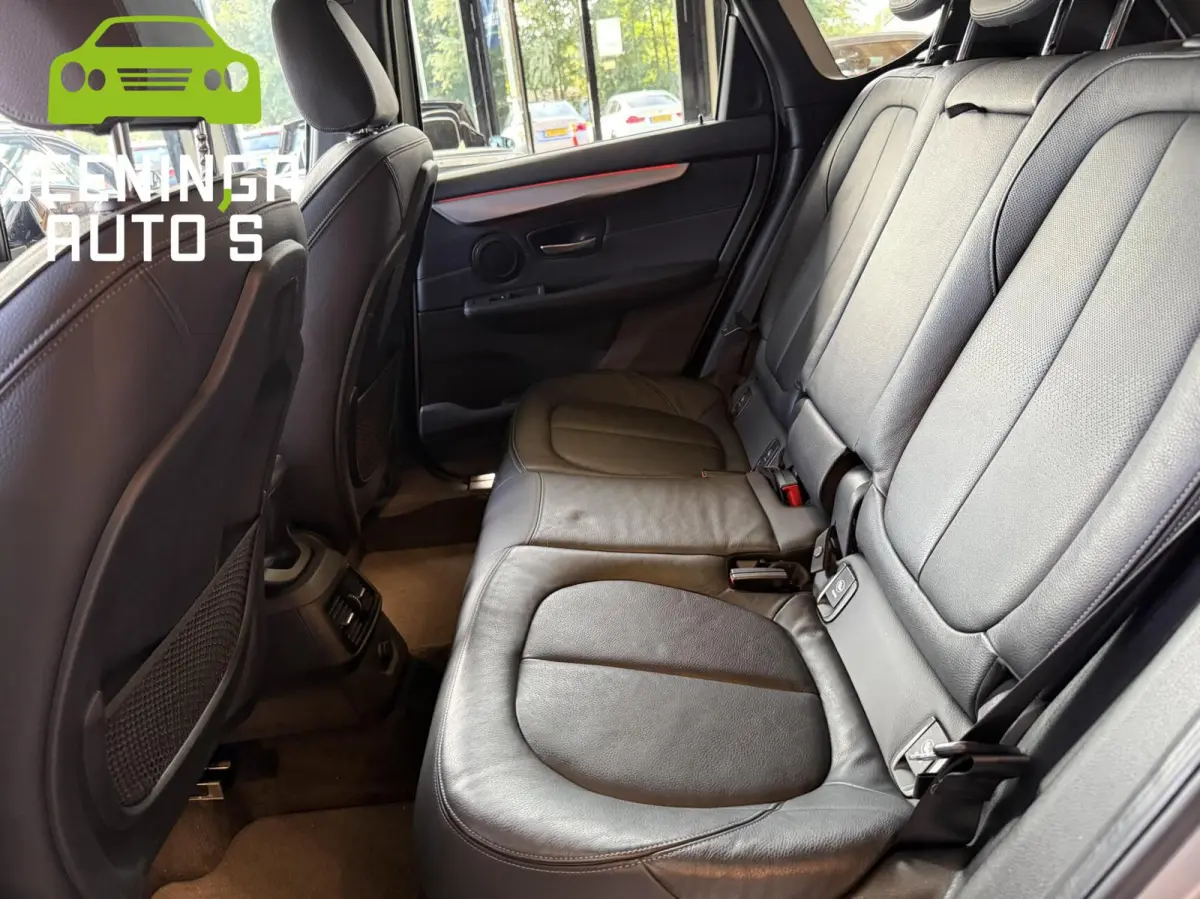 225xe iPerformance Centennial Executive |M-pakket|Pano|Leer|Camera
