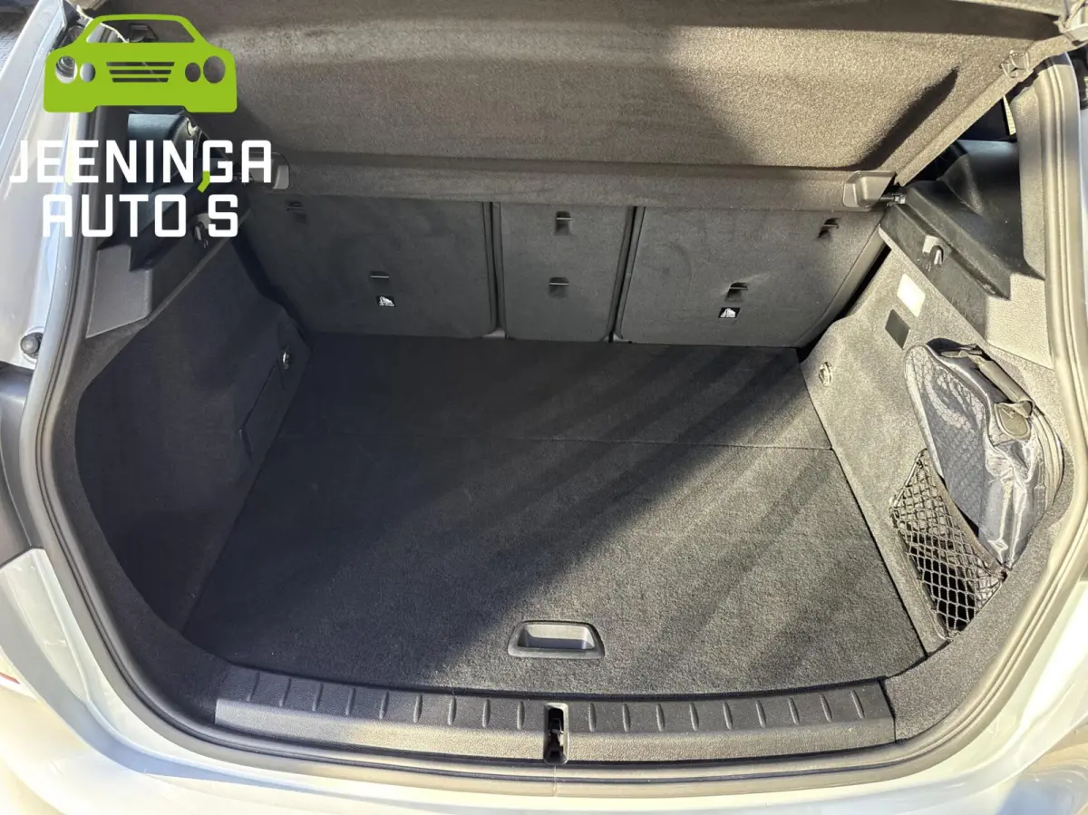 225xe iPerformance Centennial Executive |M-pakket|Pano|Leer|Camera