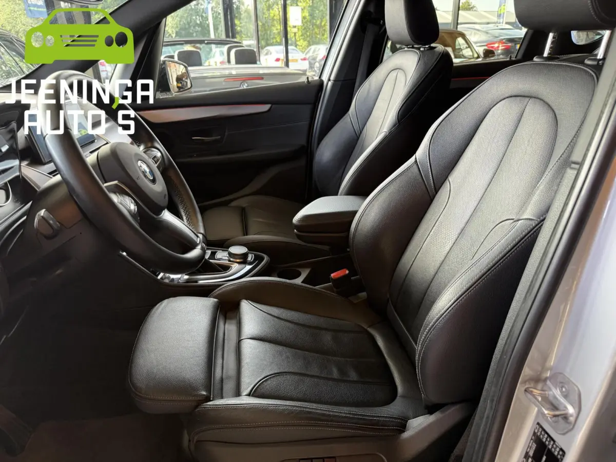 225xe iPerformance Centennial Executive |M-pakket|Pano|Leer|Camera