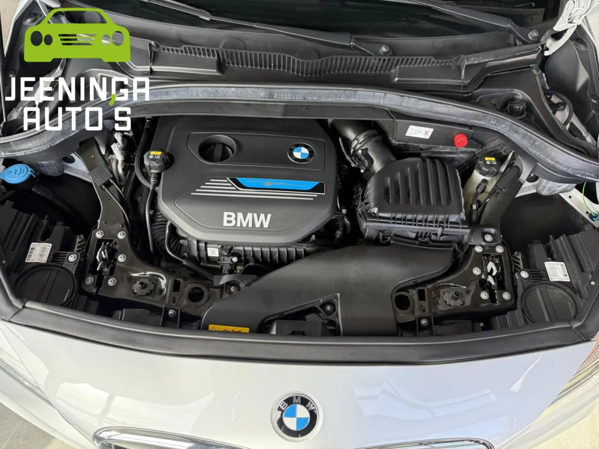 225xe iPerformance Centennial Executive |M-pakket|Pano|Leer|Camera