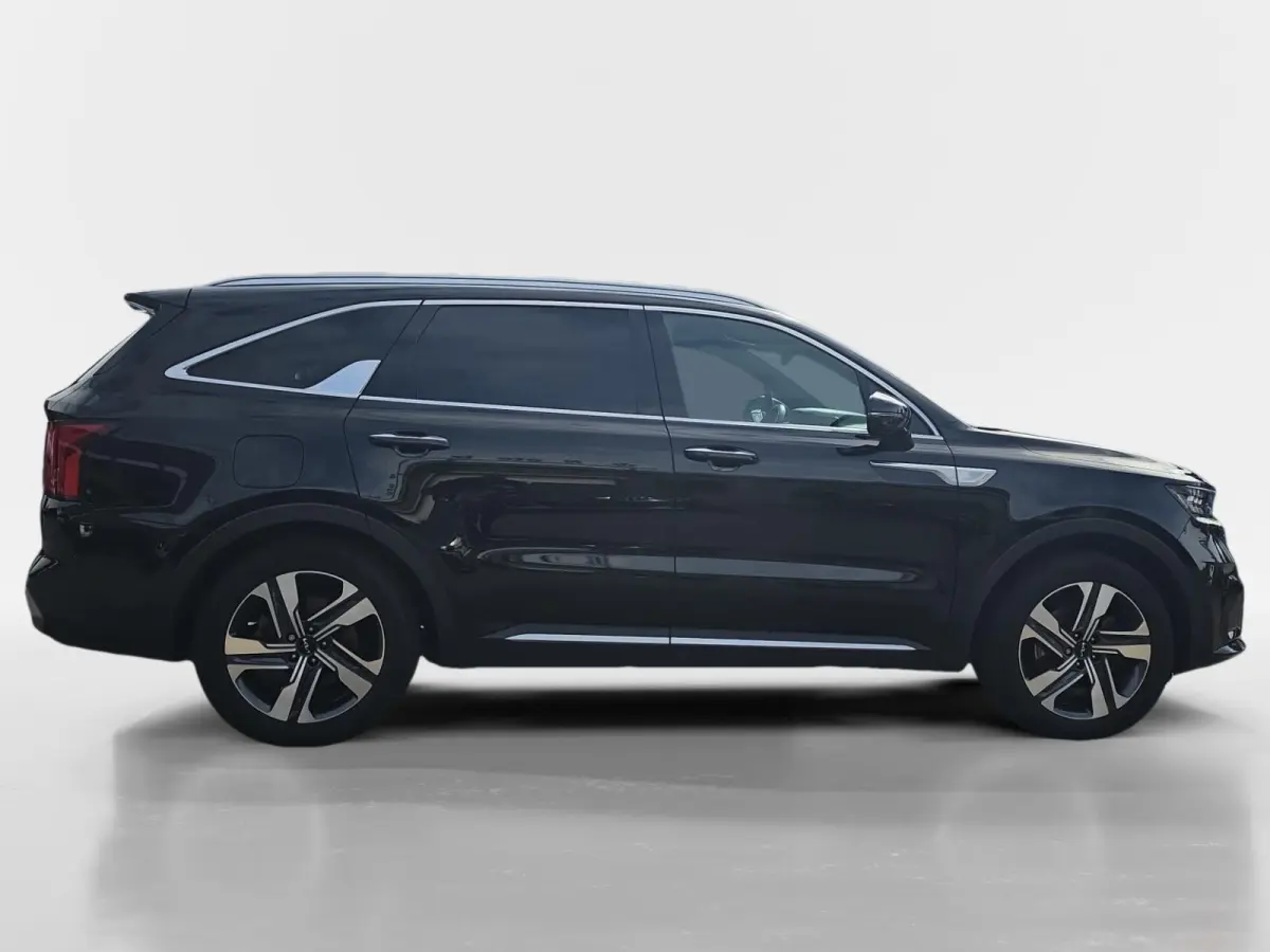 1.6 T-GDI Plug-in Hybrid 4WD ExecutiveLine 5p. | PHEV | Bose audio | Adaptive cruise control | Panoramadak | Stoel verwarming + ventilatie voor