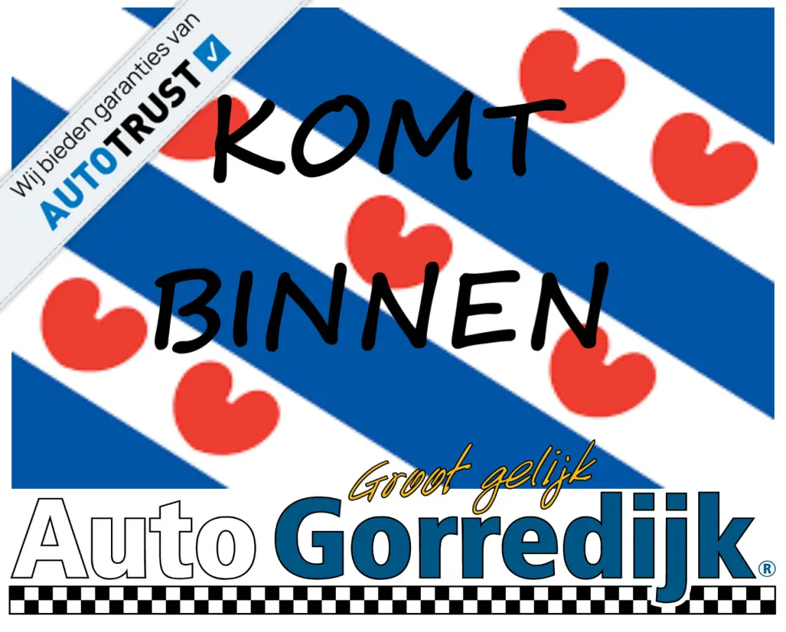 1.0 EcoBoost ST-Line PDC,CLIMA,NAVI,CUISE