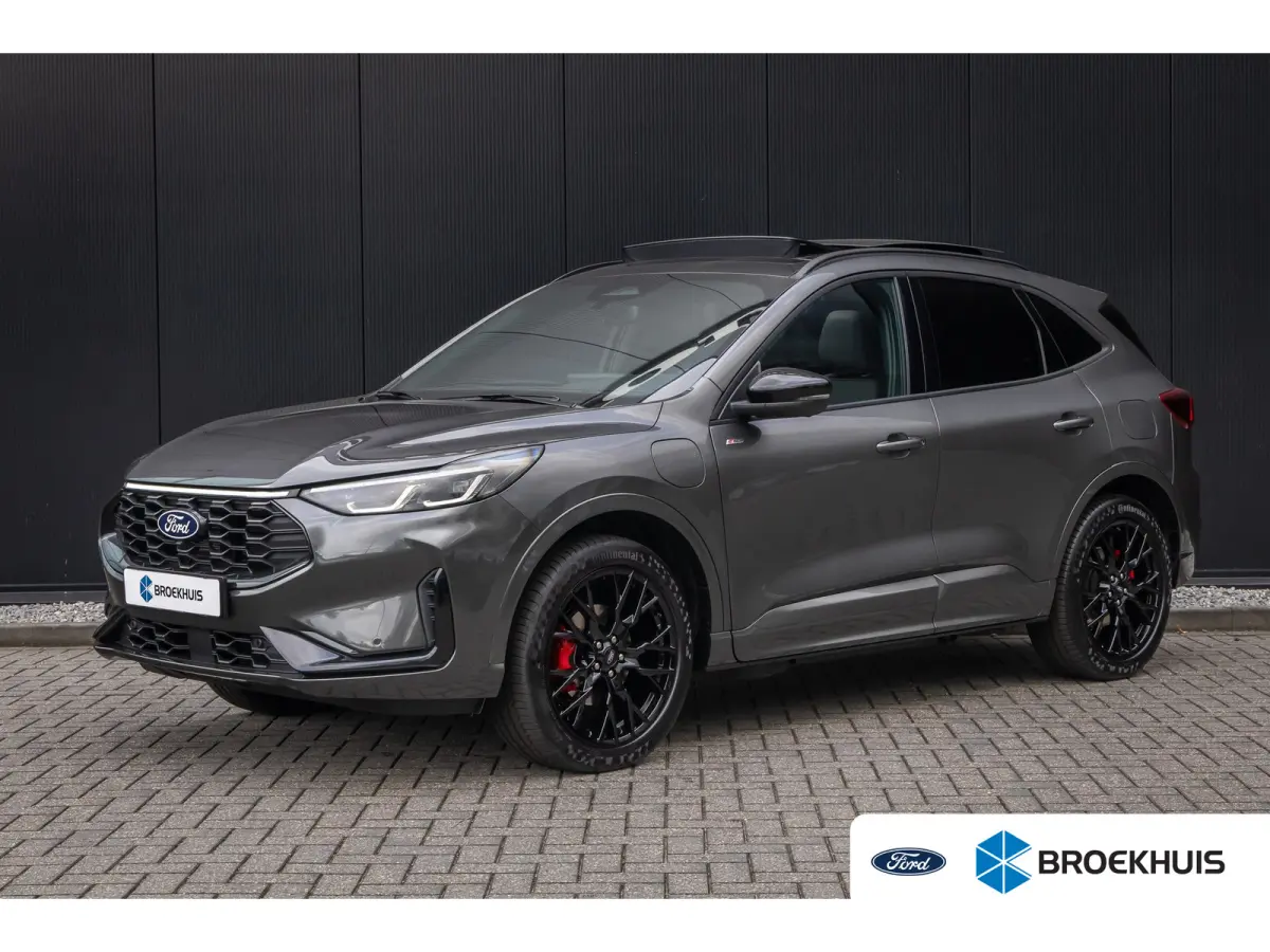 2.5 PHEV ST-Line X | Full options incl. trehaak & Black Pack | BTW auto