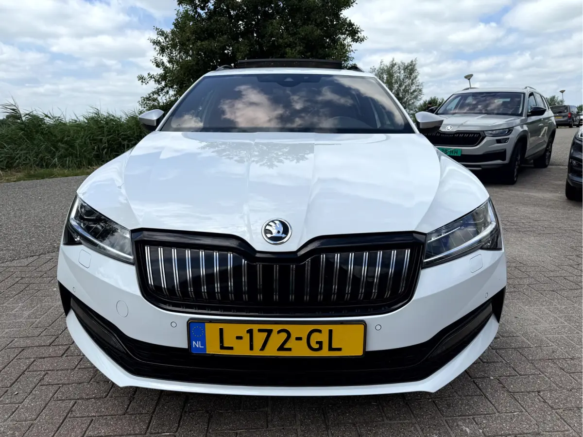 1.4 TSI iV Sportline Business Panoramadak, Trekhaak