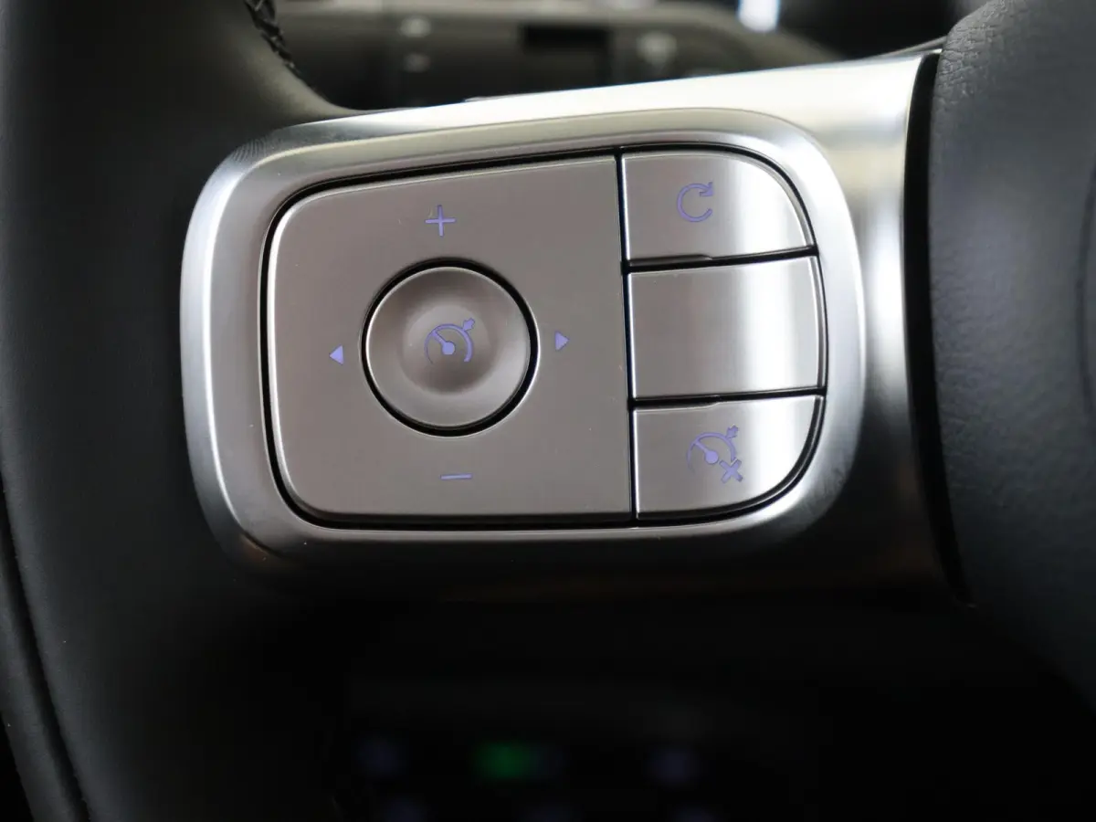 Pro+ 66 kWh /Panoramadak /Memory stoelen /Adaptieve cruise control /360 Camera