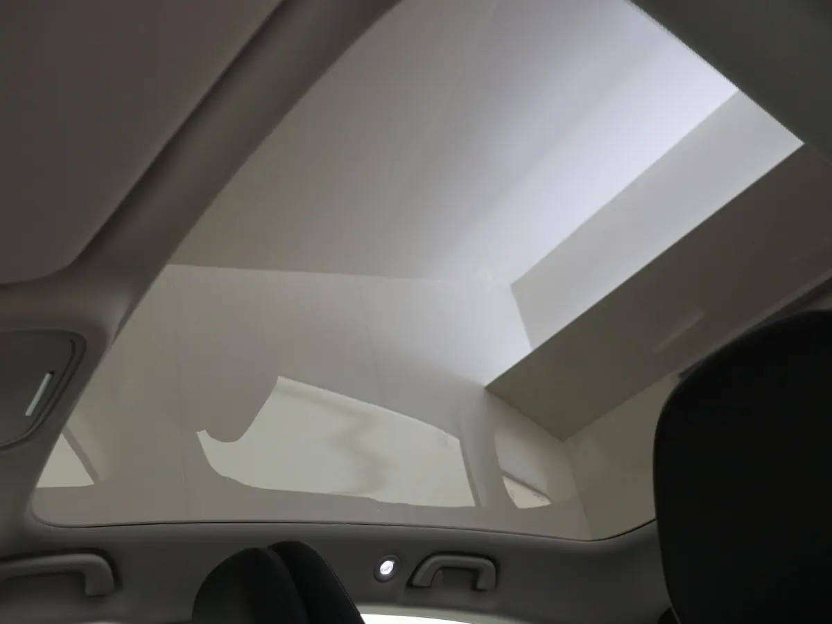 Pro+ 66 kWh /Panoramadak /Memory stoelen /Adaptieve cruise control /360 Camera