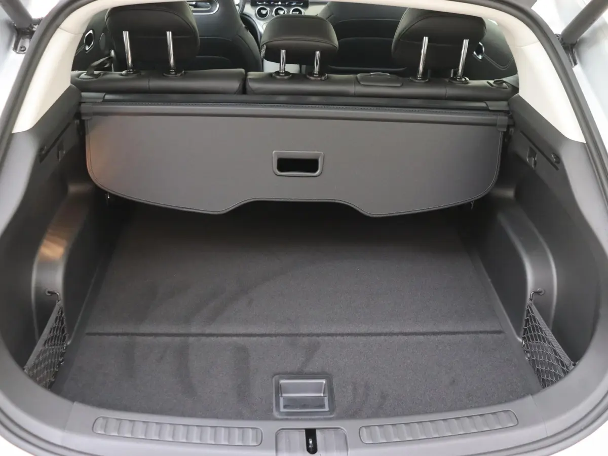 Pro+ 66 kWh /Panoramadak /Memory stoelen /Adaptieve cruise control /360 Camera