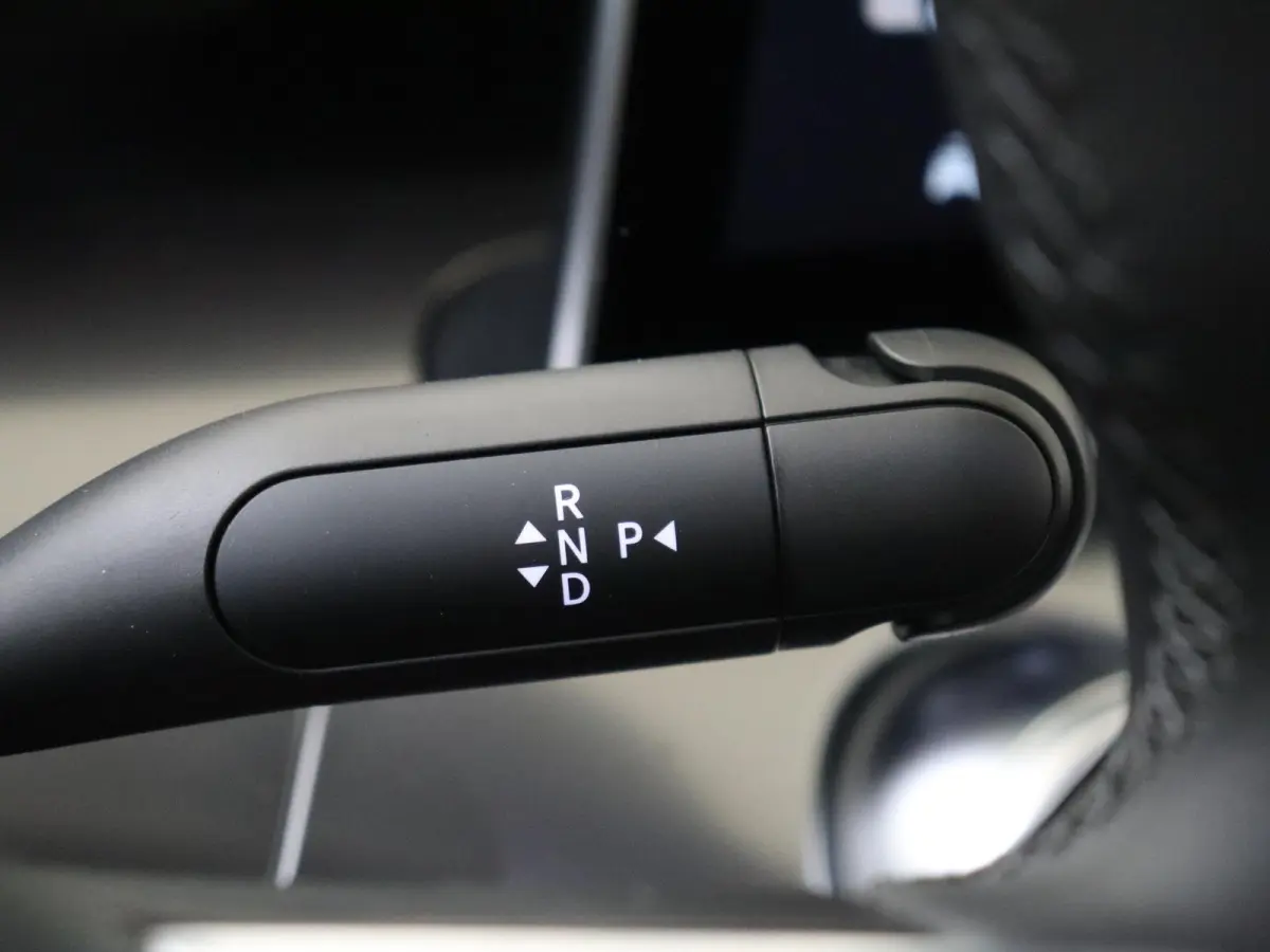 Pro+ 66 kWh /Panoramadak /Memory stoelen /Adaptieve cruise control /360 Camera
