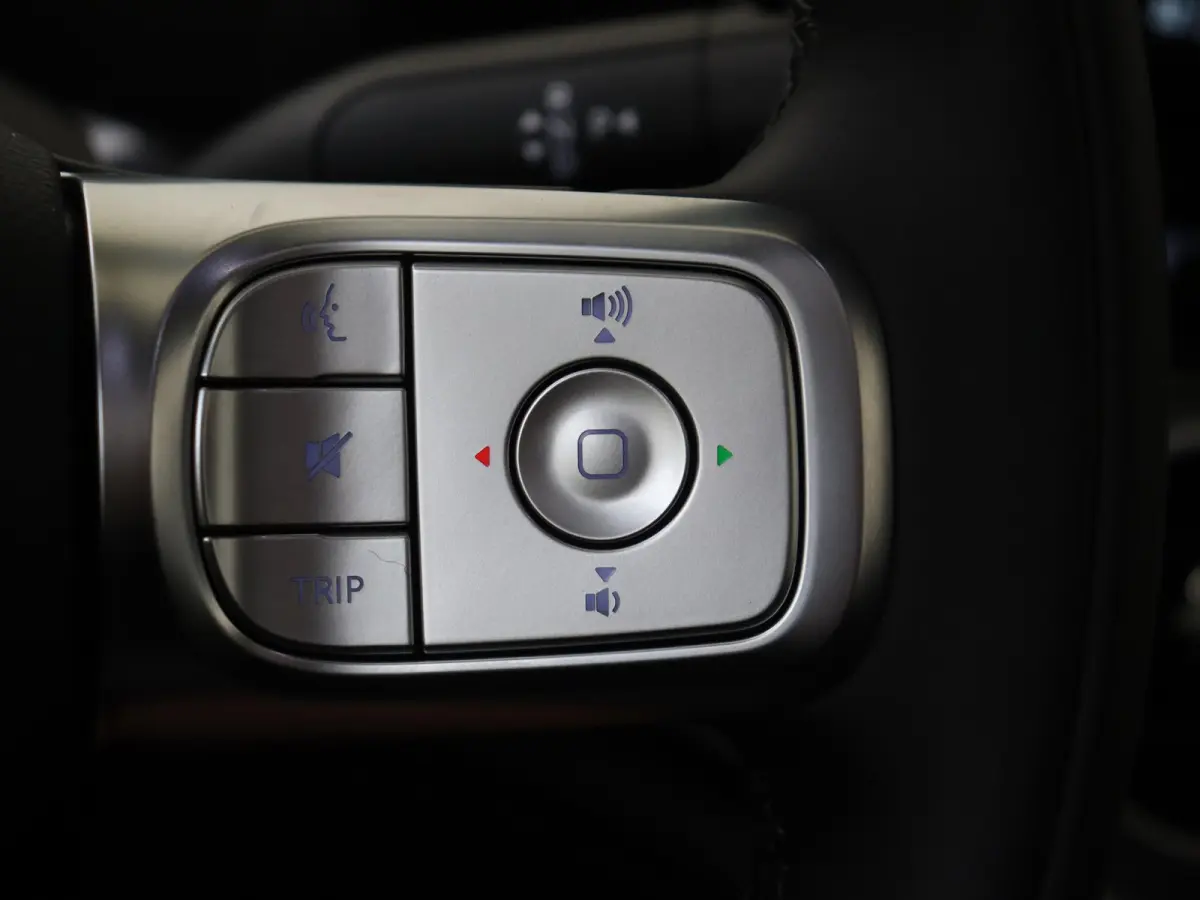 Pro+ 66 kWh /Panoramadak /Memory stoelen /Adaptieve cruise control /360 Camera