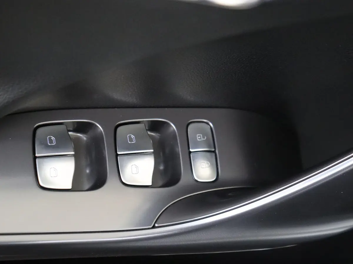 Pro+ 66 kWh /Panoramadak /Memory stoelen /Adaptieve cruise control /360 Camera