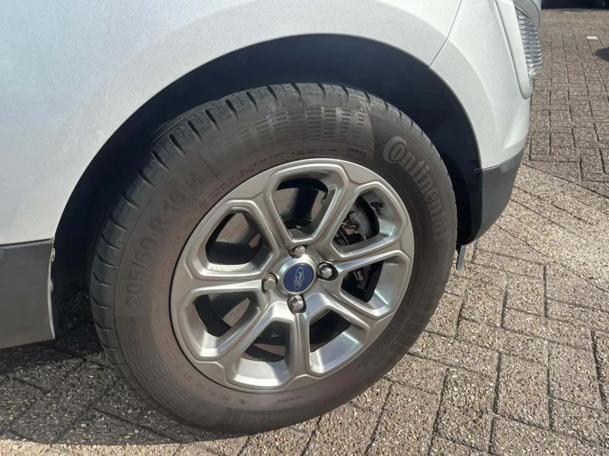 1.0 EcoBoost Trend Essential 125PK Winterpack Camera Navi Cruise Parkeersensoren B&O Blind-Spot Climate Dealer-Onderhouden *1ste Eigenaar*
