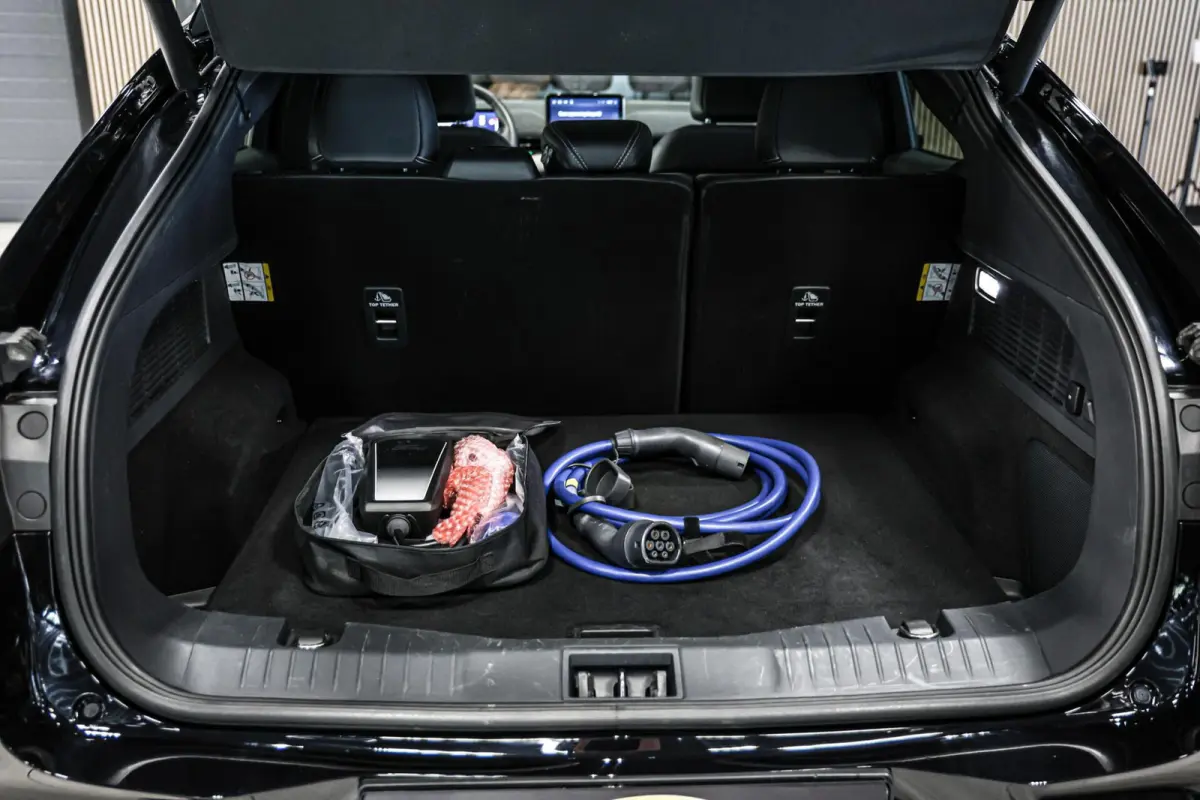 Extended RWD 98 kWh|Leder|Pano|360|B&O