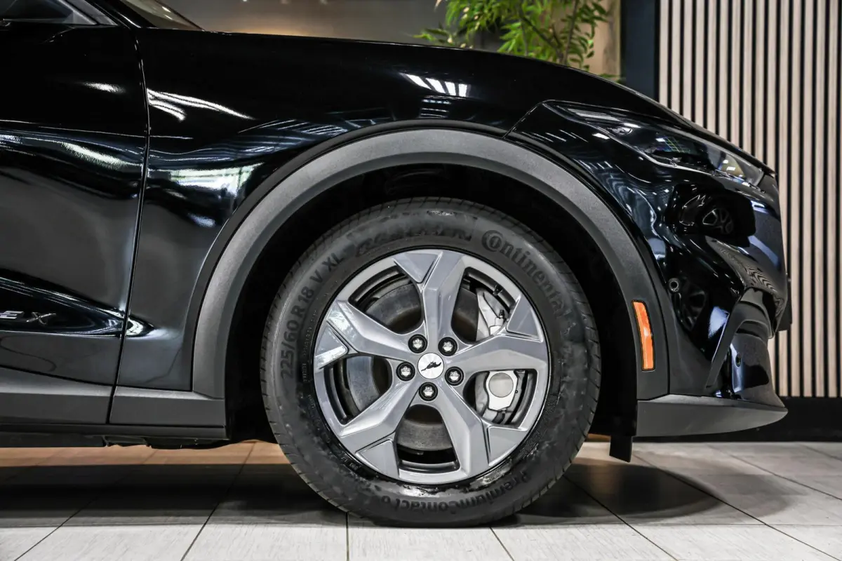 Extended RWD 98 kWh|Leder|Pano|360|B&O